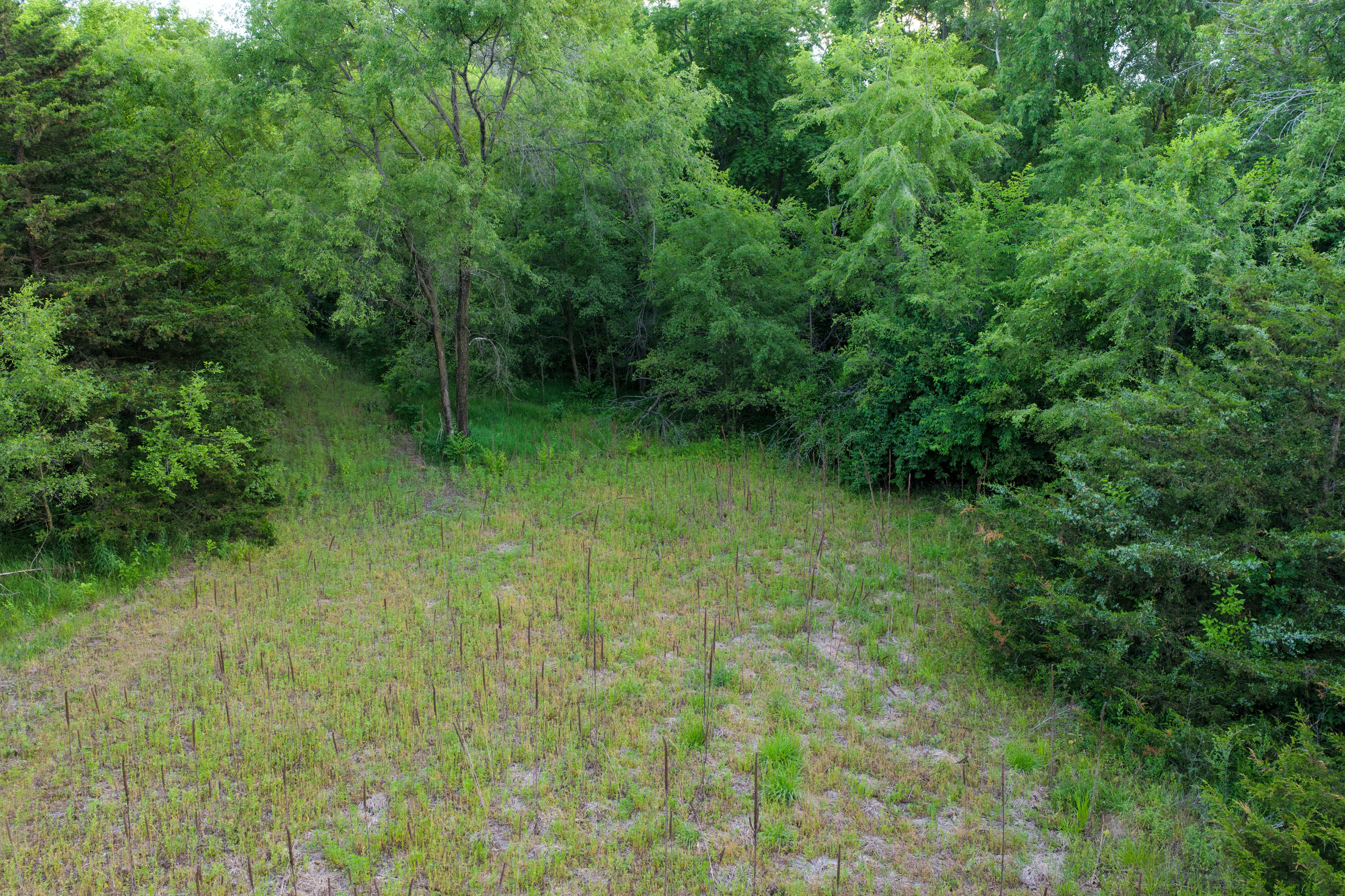 Listing Photo: Small Recreational Land For Sale in Lee County, Iowa-21